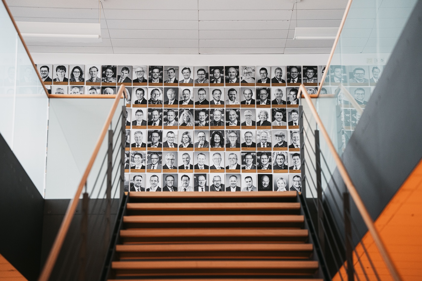 portraitbilder mitglieder von nectanet bürowand